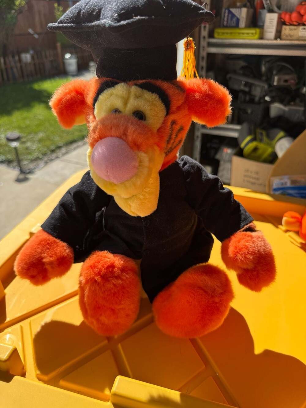 Disney Tigger Graduation Plush Cap And Gown Stuffed
